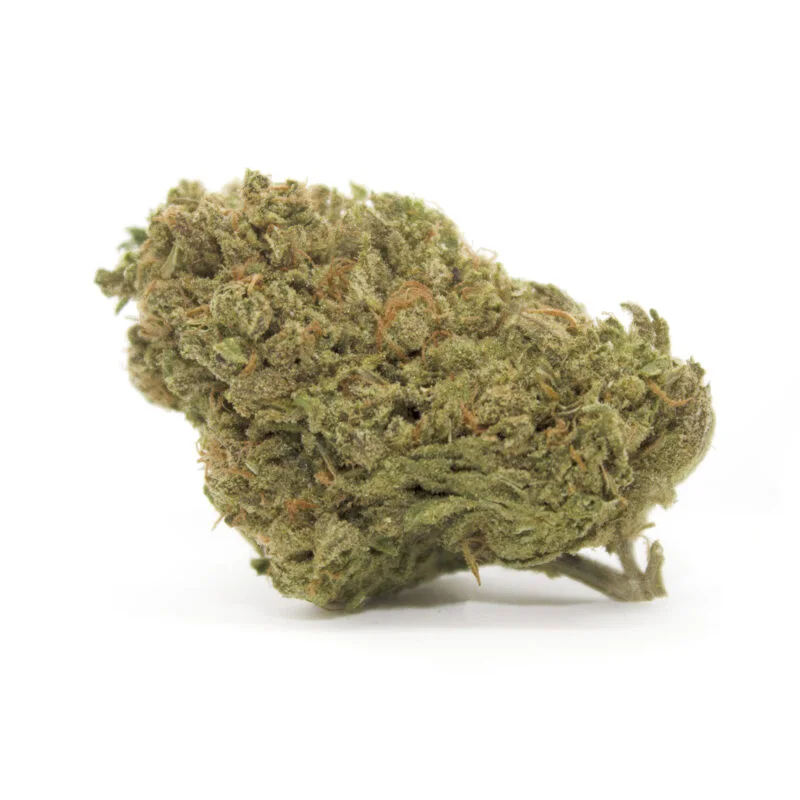 Gorilla thca blüten