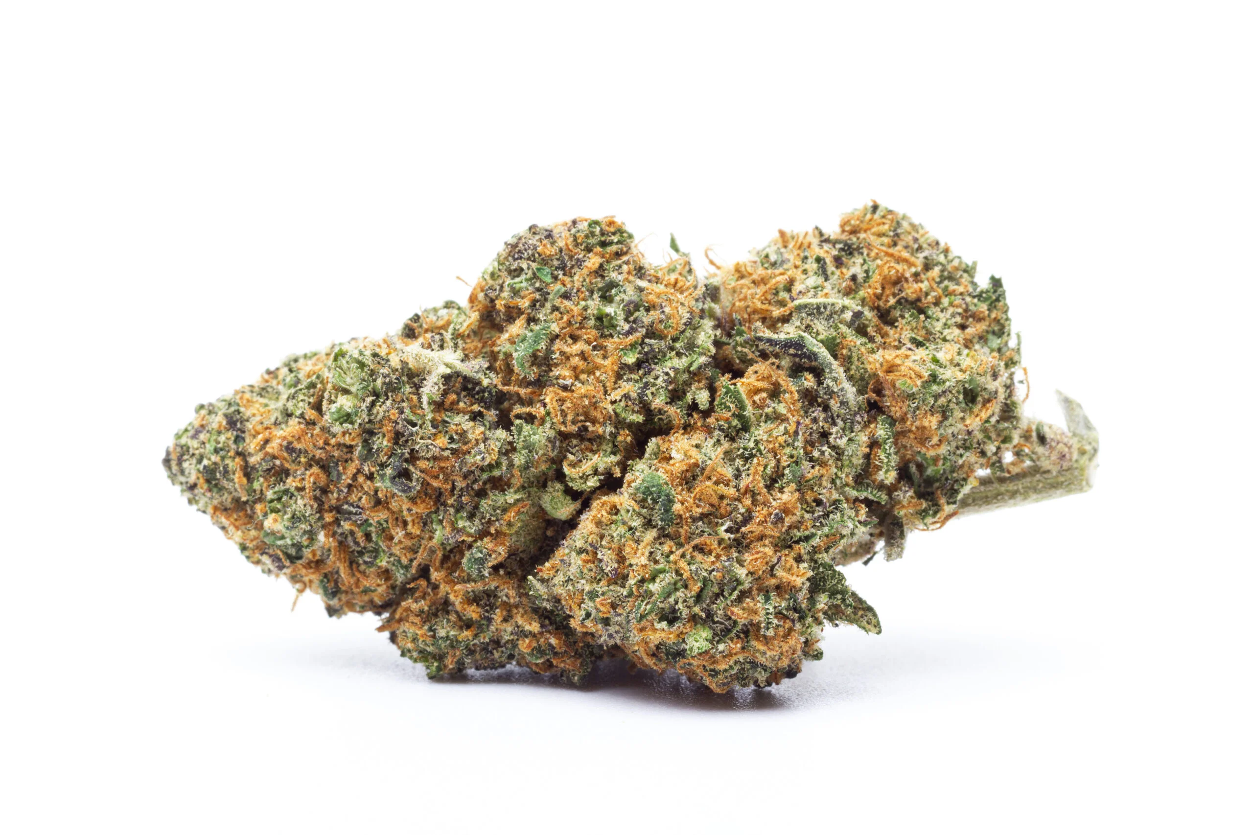 Zkittlez-thca-blueten