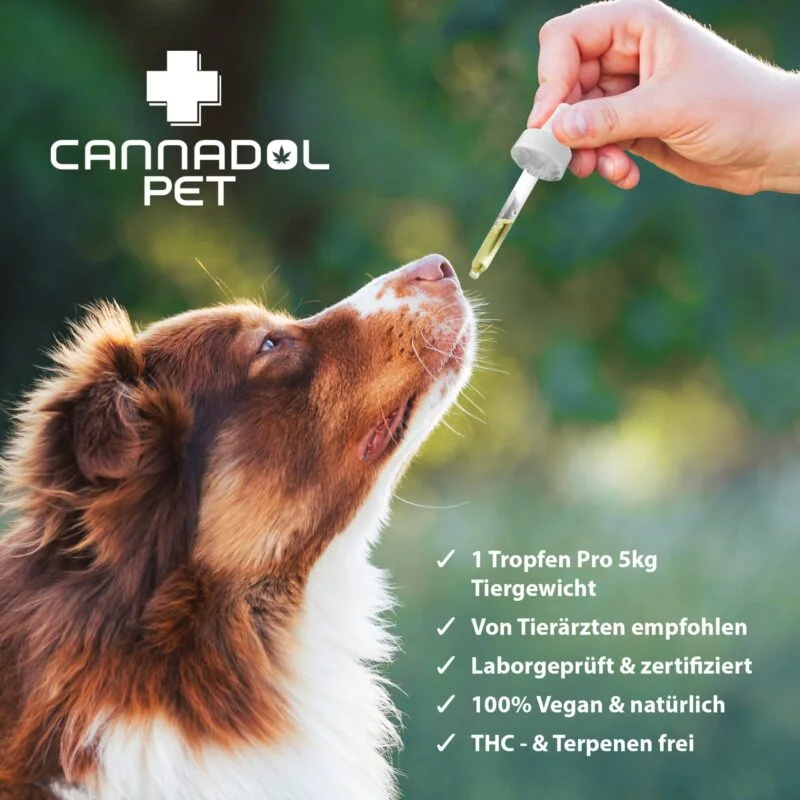 Cannadol Pet CBD Öl für Hunde 10 % – Ansicht 4