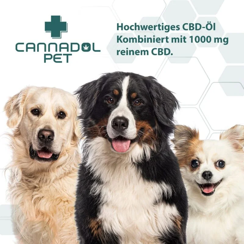 Cannadol Pet CBD Öl für Hunde 10 % – Ansicht 5
