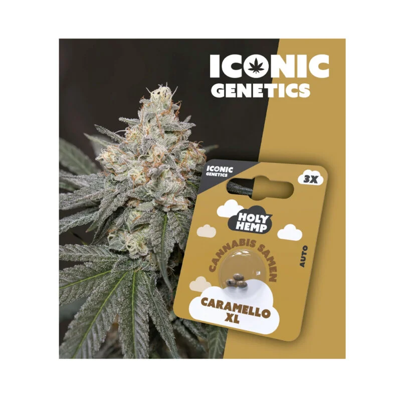 Iconic Seeds Autoflowering Samen Caramello XL – 3 Stück