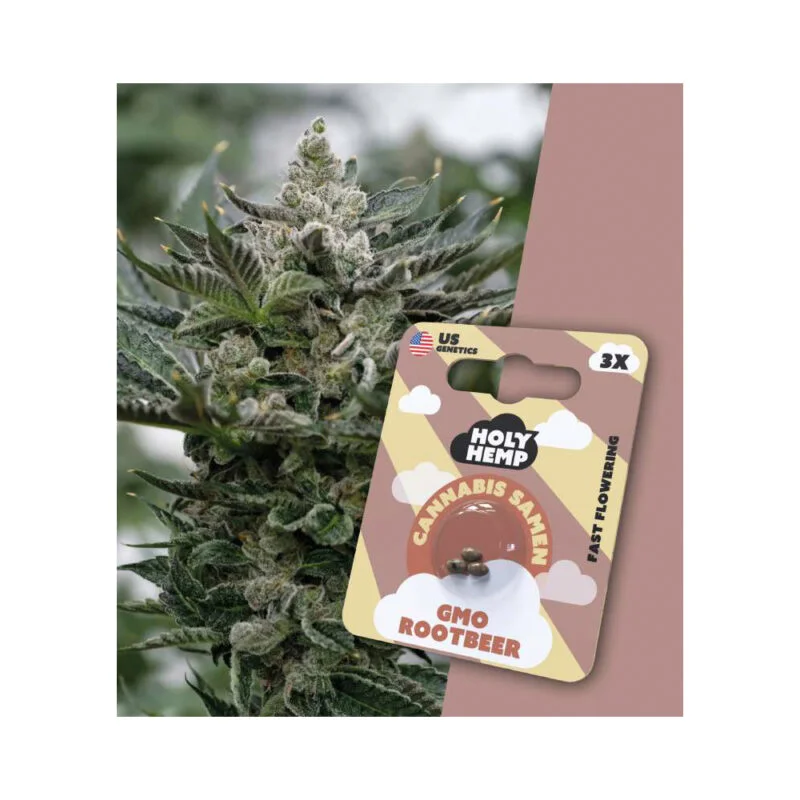 Holy Hemp Fast Flowering Samen GMO Rootbeer – 3 Stück