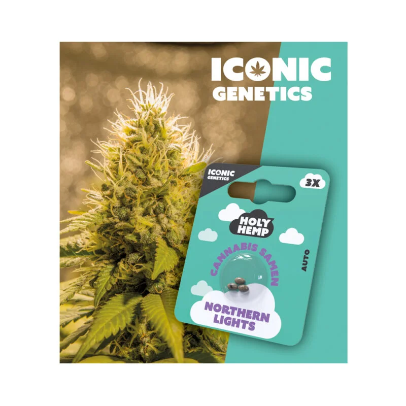Iconic Seeds Autoflowering Samen Northern Lights – 3 Stück