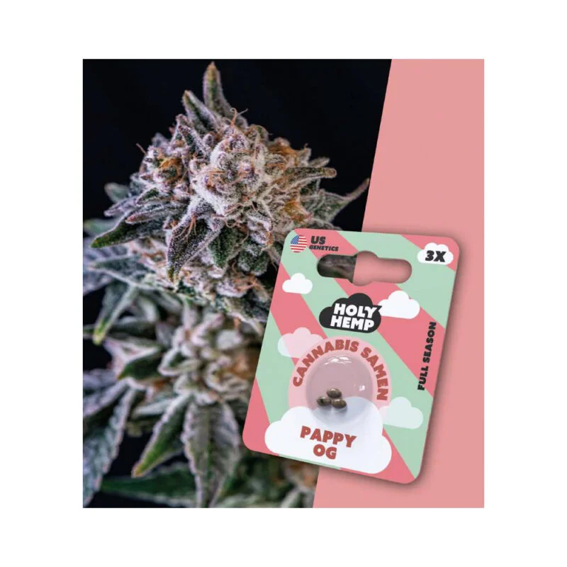 Holy Hemp Full Season Samen Pappy OG – 3 Stück