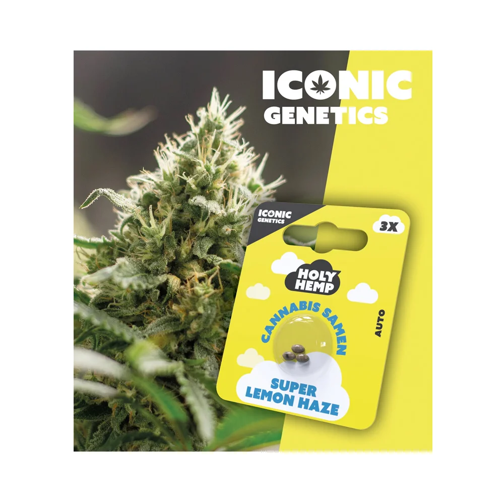 Iconic Seeds Autoflowering Samen Super Lemon Haze – 3 Stück