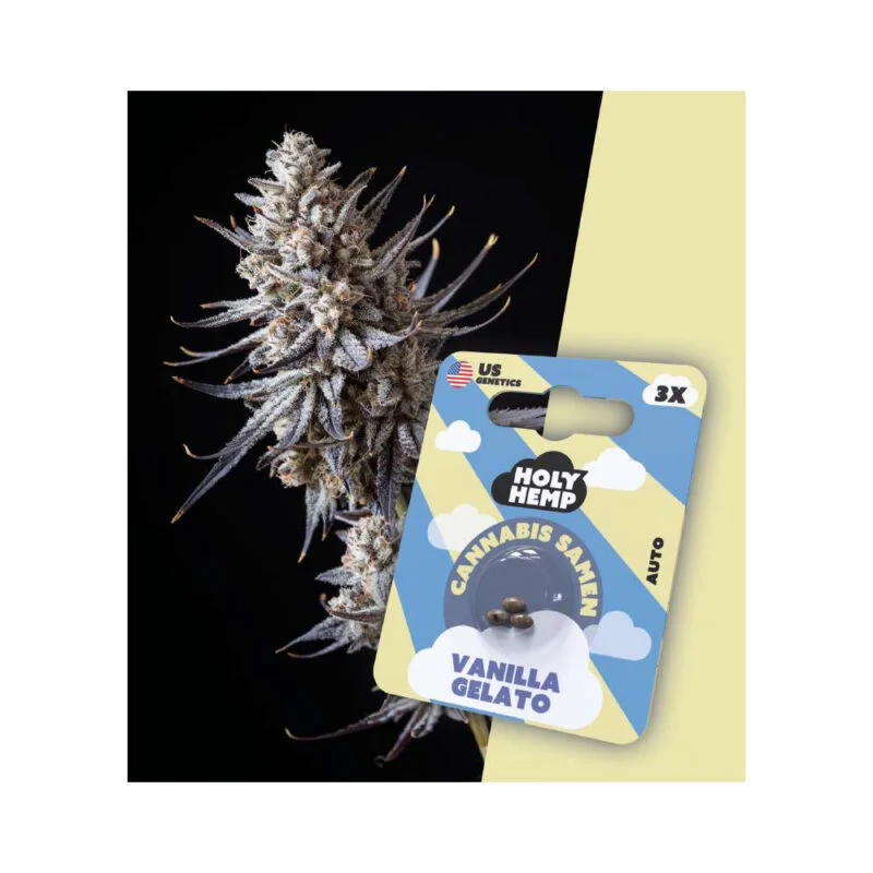 Holy Hemp Autoflowering Samen Vanilla Gelato – 3 Stück