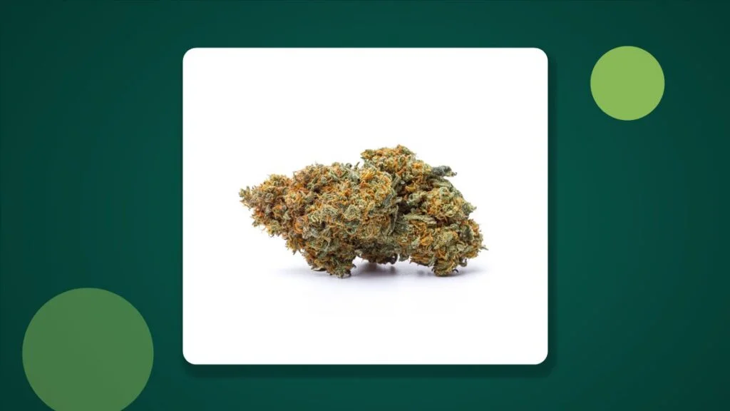 Cali THCA Blüte als Symbolbild für den mikrobiologischen Test