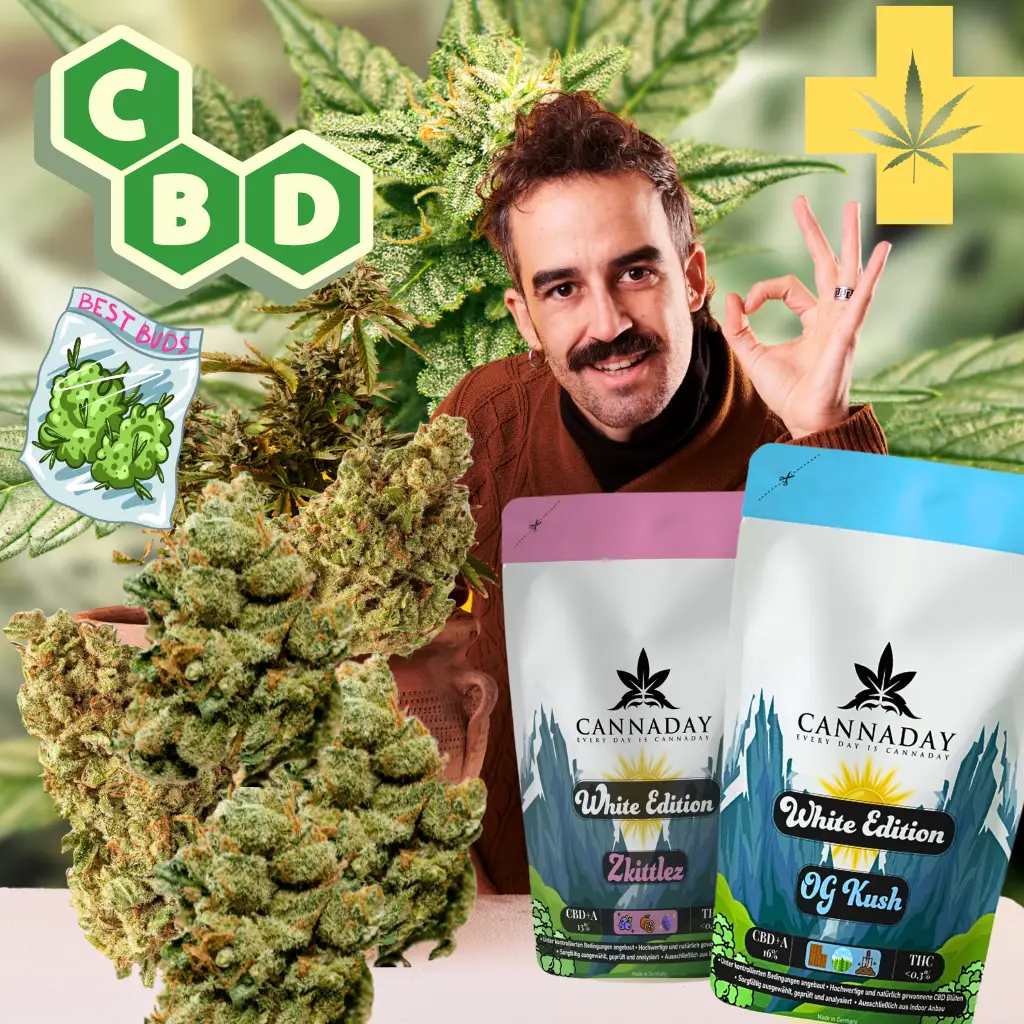 CBD Blüten