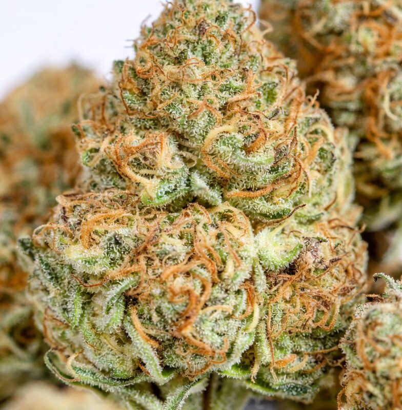 Super Goof – 32 % THCA Blüten