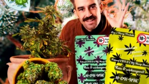 10-OH-HHC Blüten – Begriff und heutiger Stand