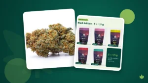 Blüten und verschlossene Verpackung – Cannabis-Geruch neutralisieren und geruchsdicht lagern