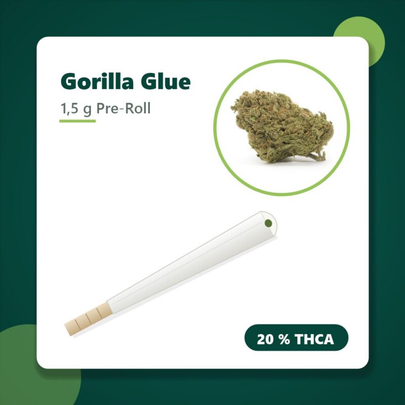 Gorilla Glue THCA Joint, 1,5 g Pre-Roll