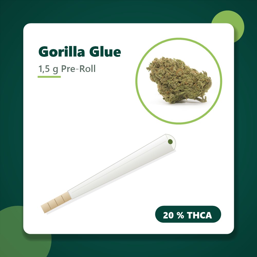 Gorilla Glue THCA Joint, 1,5 g Pre-Roll