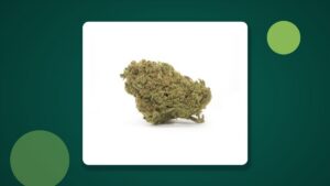 Gorilla THCA Blüte als Beispiel für sorgfältig getrimmte Ware