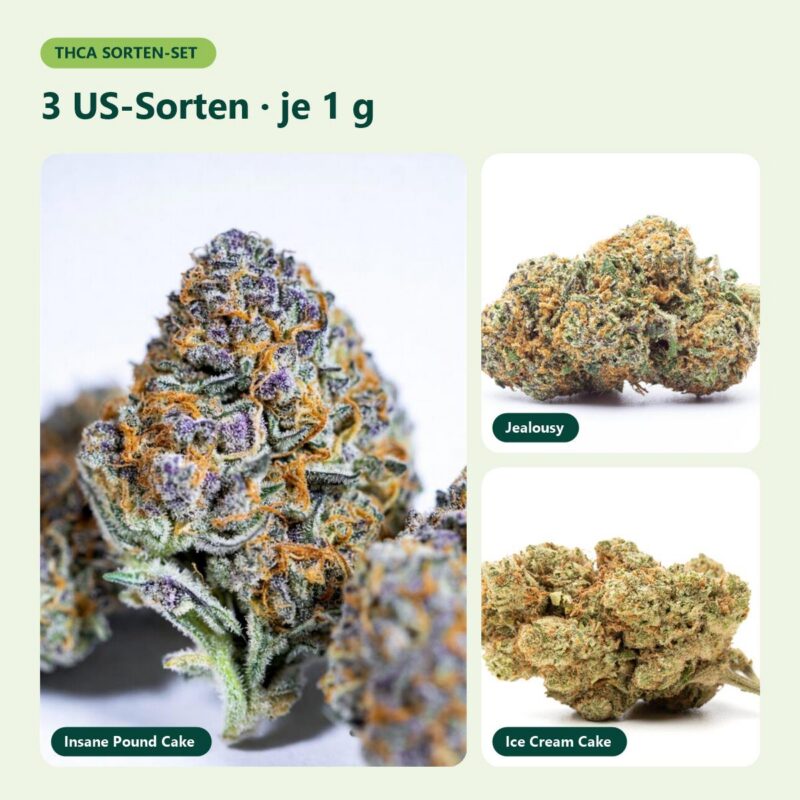 THCA US-Import-Set mit 3 Sorten je 1 g